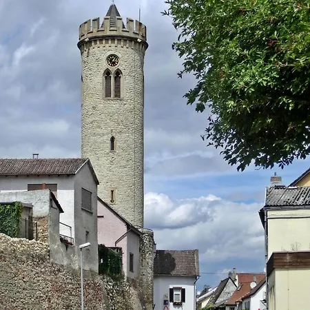 Ferienwohnung Oppenheim 아파트 *