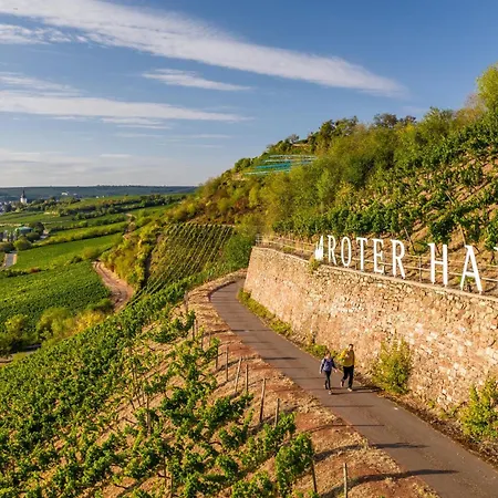 Ferienwohnung Oppenheim *