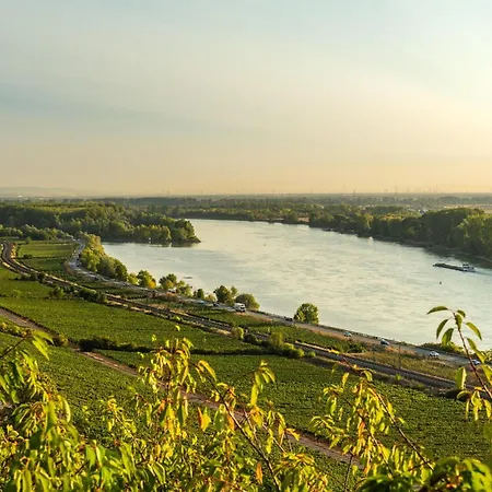 아파트 Ferienwohnung Oppenheim