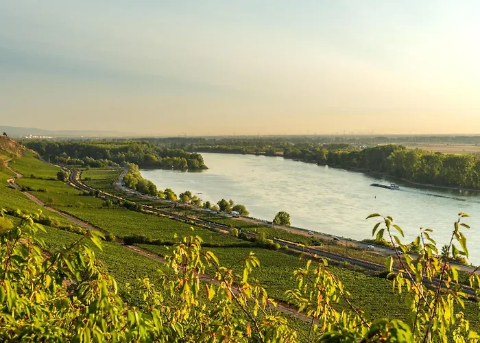 Appartement Ferienwohnung Oppenheim
