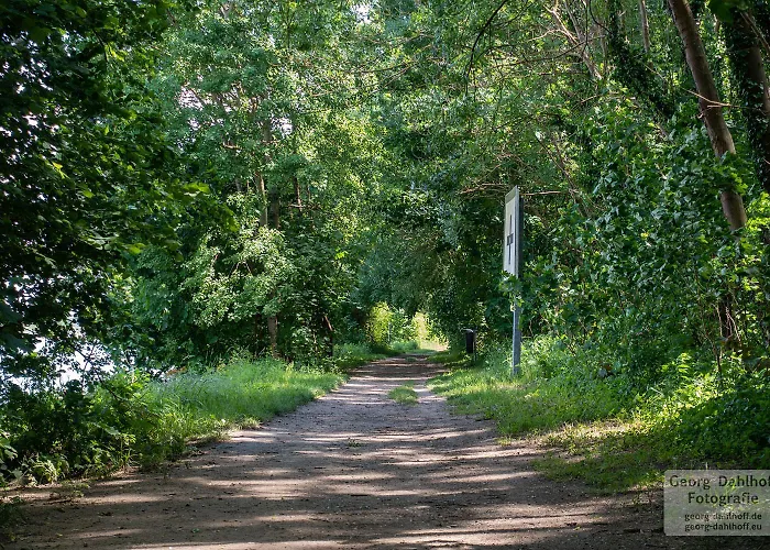 Ferienwohnung Oppenheim Oppenheim